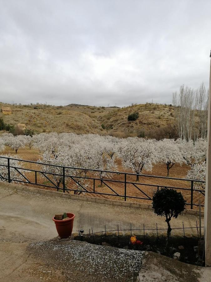 Apartamentos Rurales Camino Del Cid Castejón de las Armas Екстериор снимка