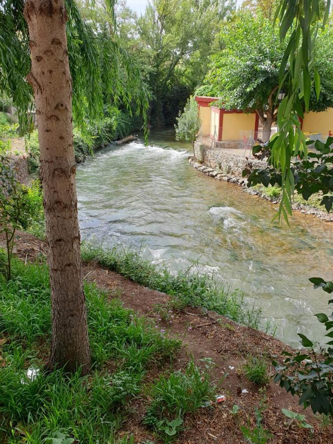 Apartamentos Rurales Camino Del Cid Castejón de las Armas Екстериор снимка