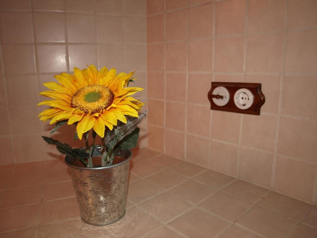 Apartamentos Rurales Camino Del Cid Castejón de las Armas Стая снимка