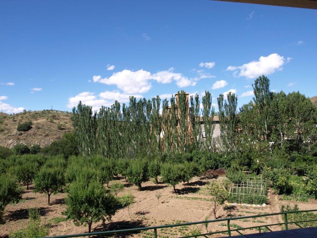 Apartamentos Rurales Camino Del Cid Castejón de las Armas Екстериор снимка