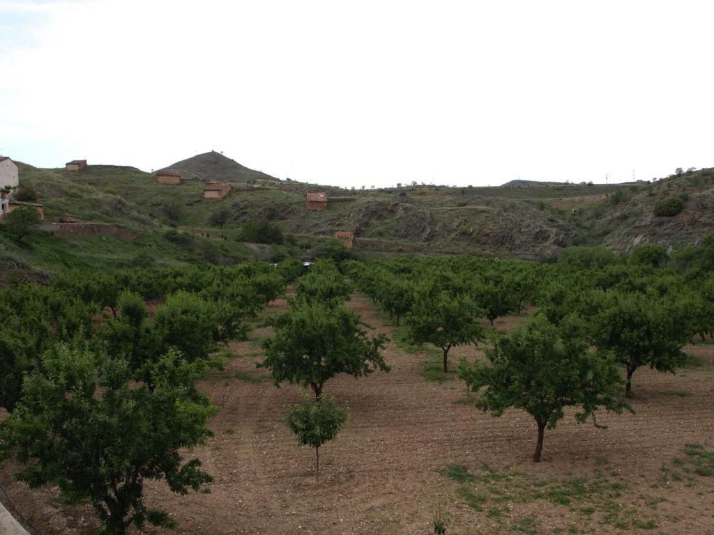 Apartamentos Rurales Camino Del Cid Castejón de las Armas Екстериор снимка