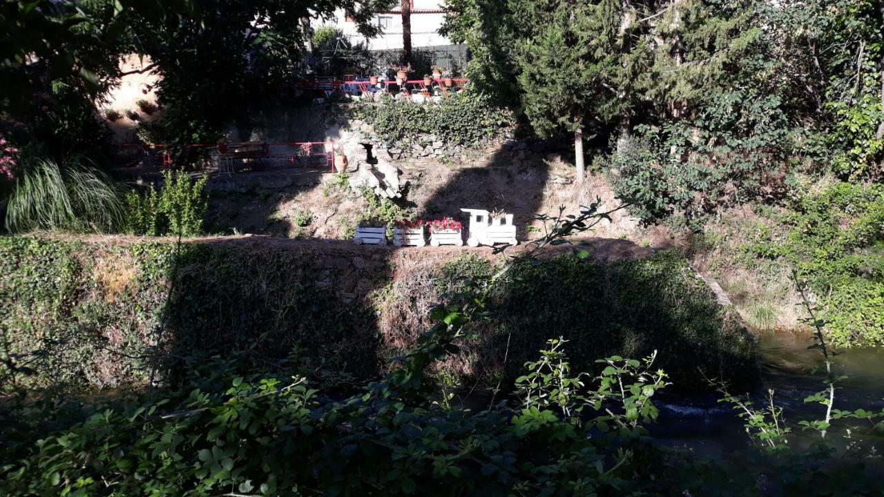 Apartamentos Rurales Camino Del Cid Castejón de las Armas Екстериор снимка