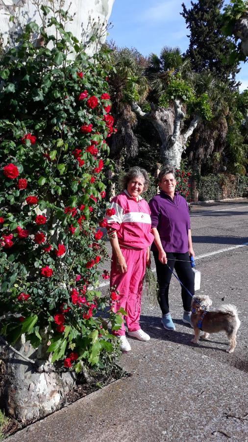 Apartamentos Rurales Camino Del Cid Castejón de las Armas Екстериор снимка